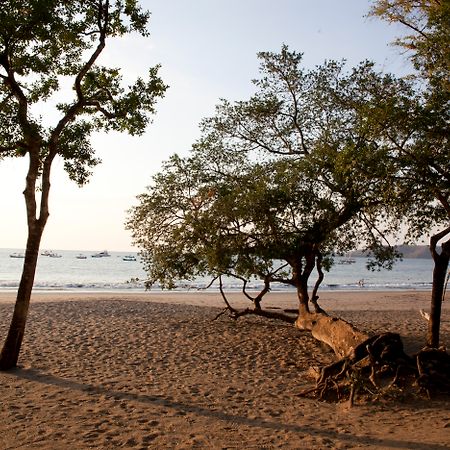 بلايا هيرموسا Hotel Bosque Del Mar Playa Hermosa المظهر الخارجي الصورة