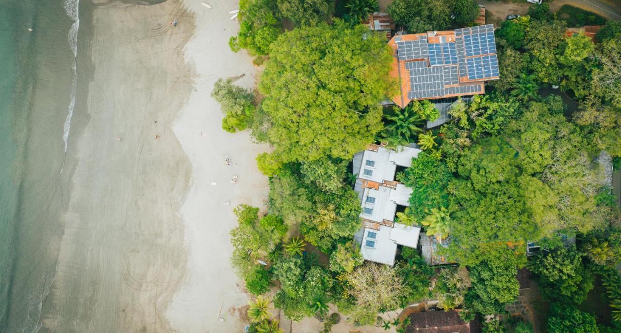 بلايا هيرموسا Hotel Bosque Del Mar Playa Hermosa المظهر الخارجي الصورة