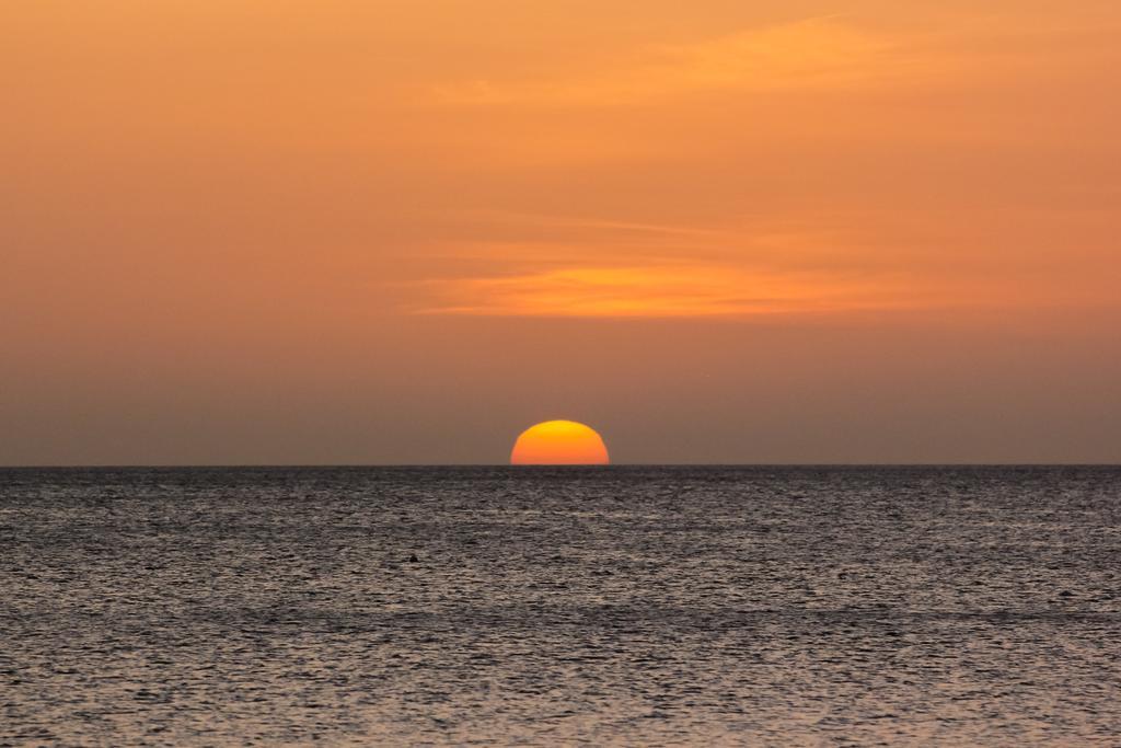 بلايا هيرموسا Hotel Bosque Del Mar Playa Hermosa المظهر الخارجي الصورة